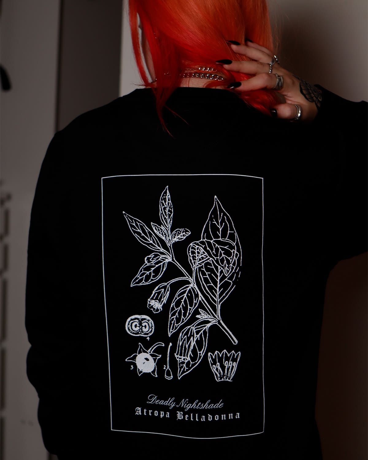 Felpa Girocollo "Belladonna"