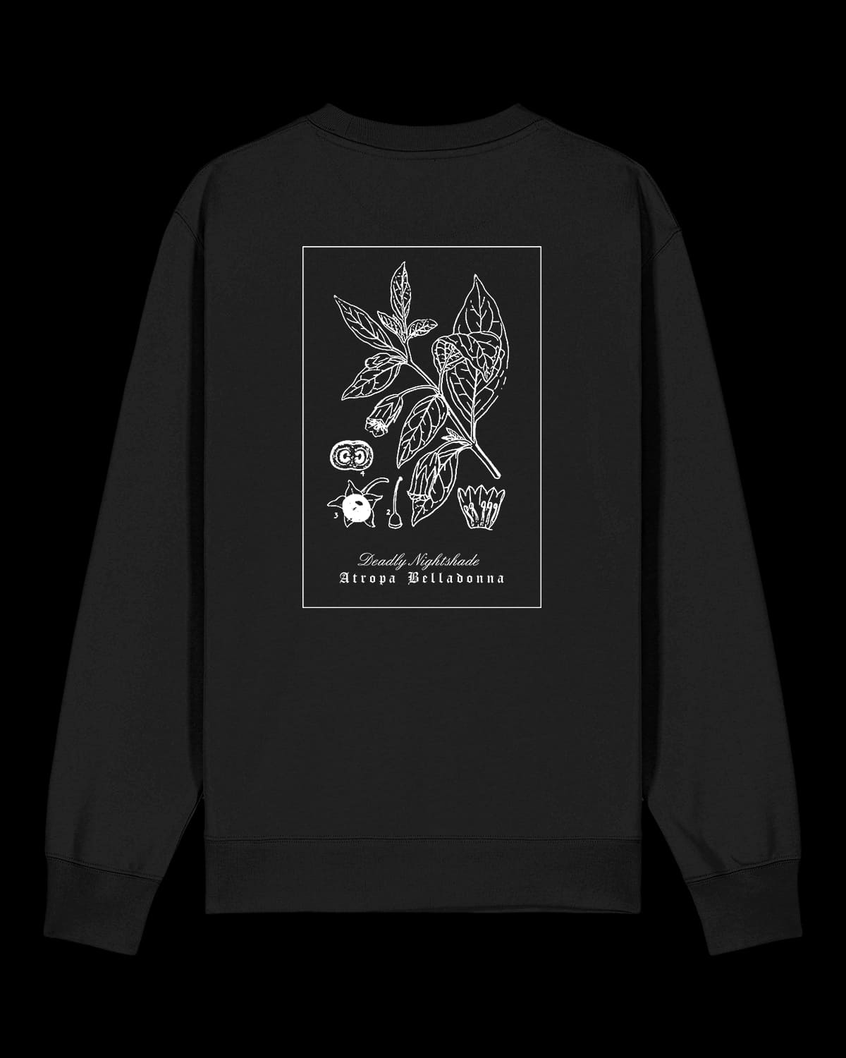 Felpa Girocollo "Belladonna"
