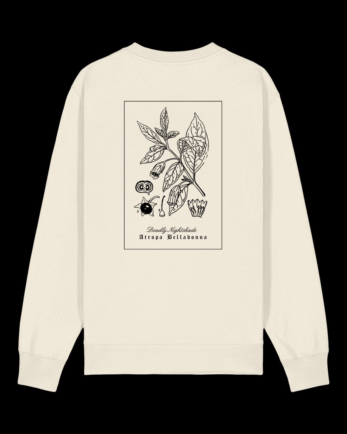 Felpa Girocollo "Belladonna"