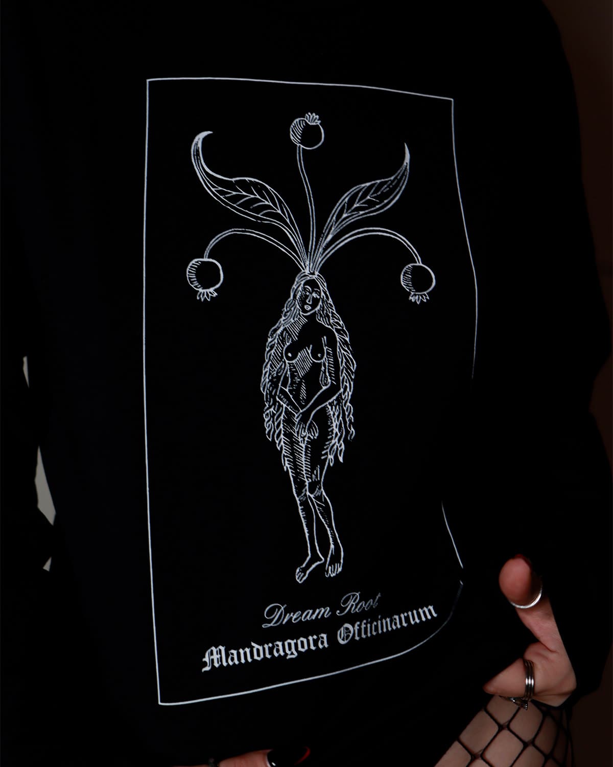 T-shirt Longsleeve "Mandragora"