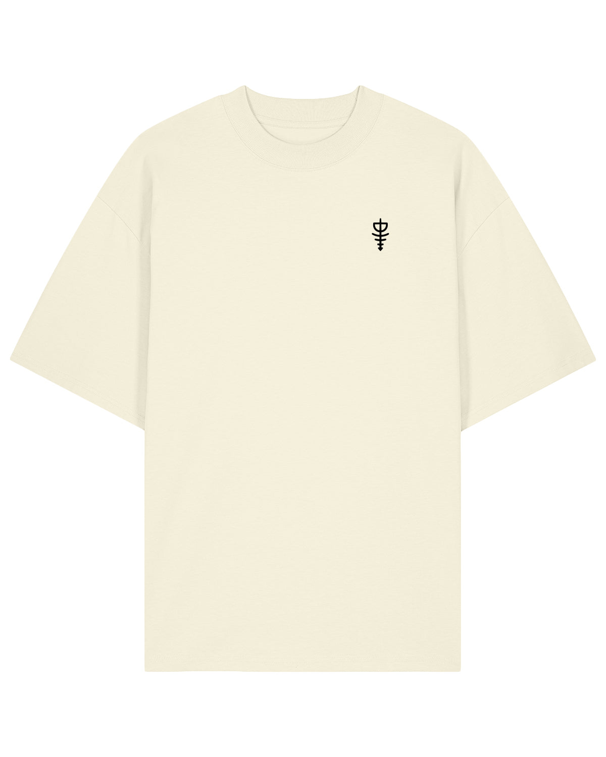 T-shirt oversize Agartha
